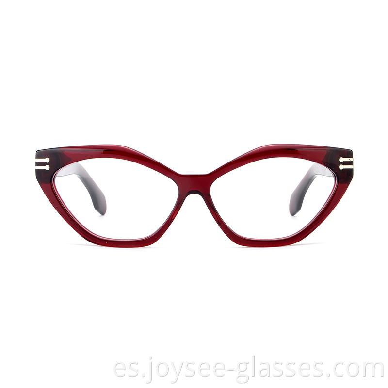 Butterfly Shape Eyeglasses 5